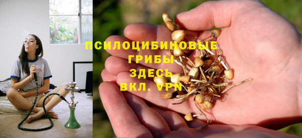 амф Балахна
