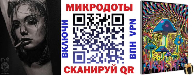 купить закладку  Ленск  гидра сайт  Псилоцибиновые грибы Psilocybe 